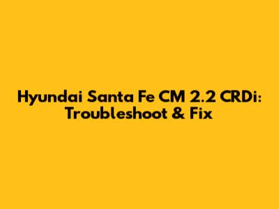 Hyundai Santa Fe CM 2.2 CRDi: Troubleshoot & Fix